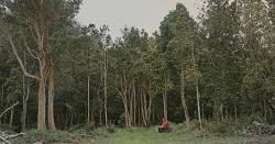 HDMN_Rolo04_Still02.jpg